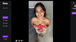 Flinbo